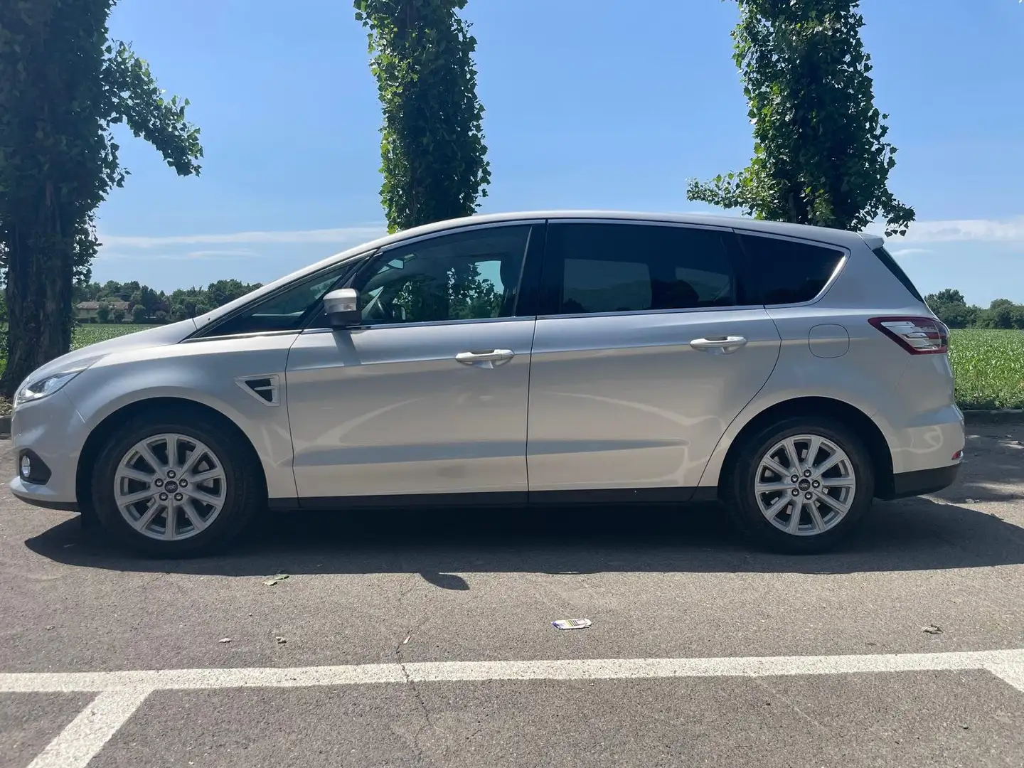 Ford S-Max S-Max II 2.0 tdci Titanium Business s Argento - 1