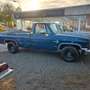 Chevrolet Chevy C10 Pickup Toller Patina Truck . - thumbnail 9