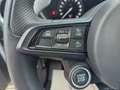 Alfa Romeo Stelvio 2.2 T.d. 160CV AT8 RWD Sprint Wit - thumbnail 26