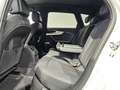 Audi A4 40 TFSI Q 2x S Line Matrix AHK Standheizung Weiß - thumbnail 17