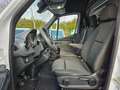 Mercedes-Benz Sprinter 316 CDI 2,8tAHK|AC|KAM|TÜV+ÖL+REIFENneu Weiß - thumbnail 10
