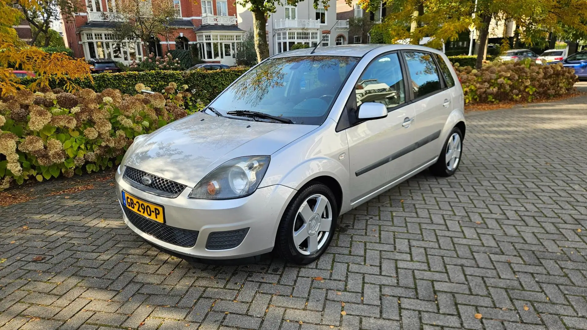 Ford Fiesta 1.3-8V Style Grijs - 1