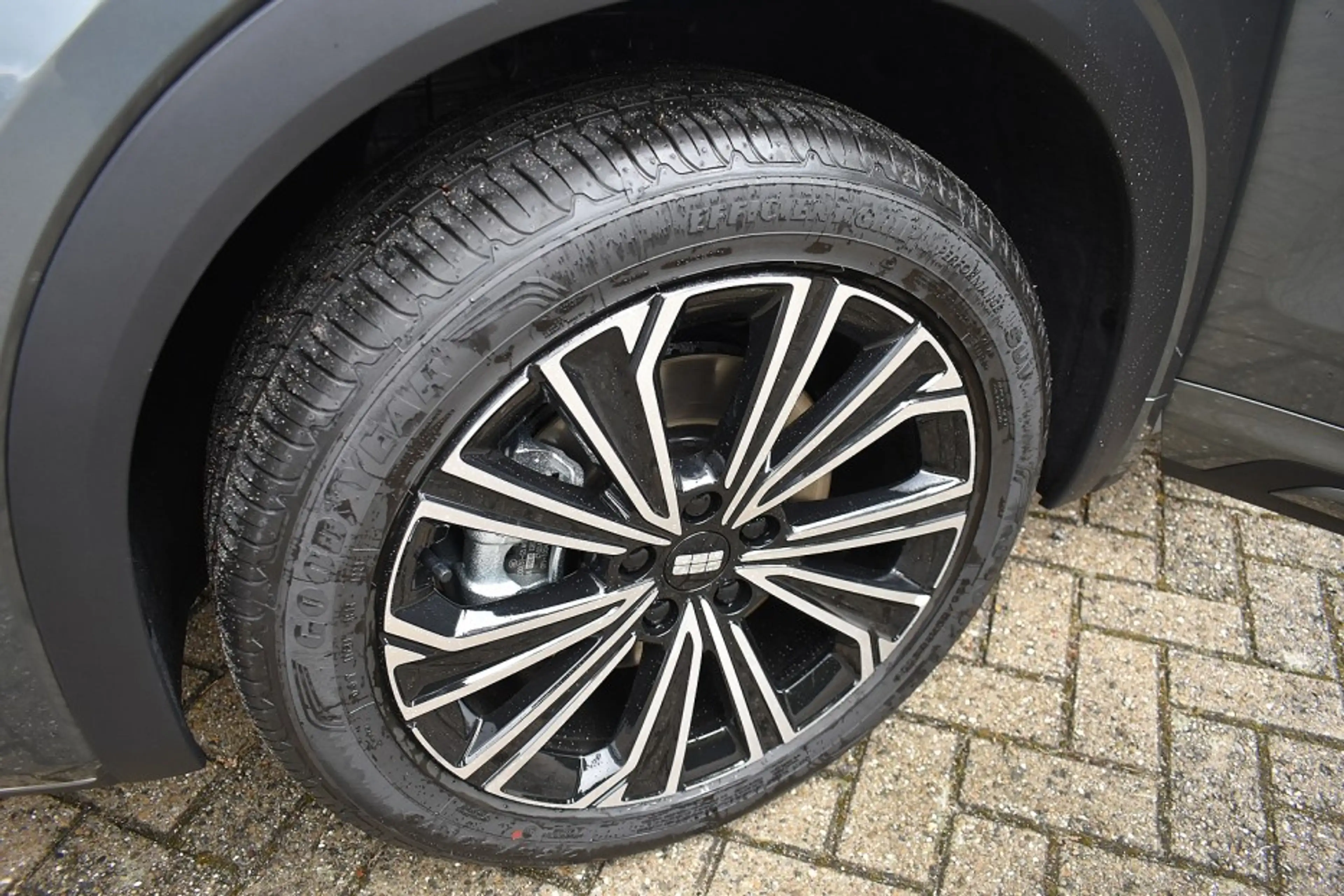 Geely Starray EM-i EM-i Max + PHEV Long Range/136km WLTP /Pano/Leer e — photo 14