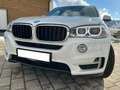 BMW X5 X5 xDrive30d Sport-Aut. Weiß - thumbnail 5