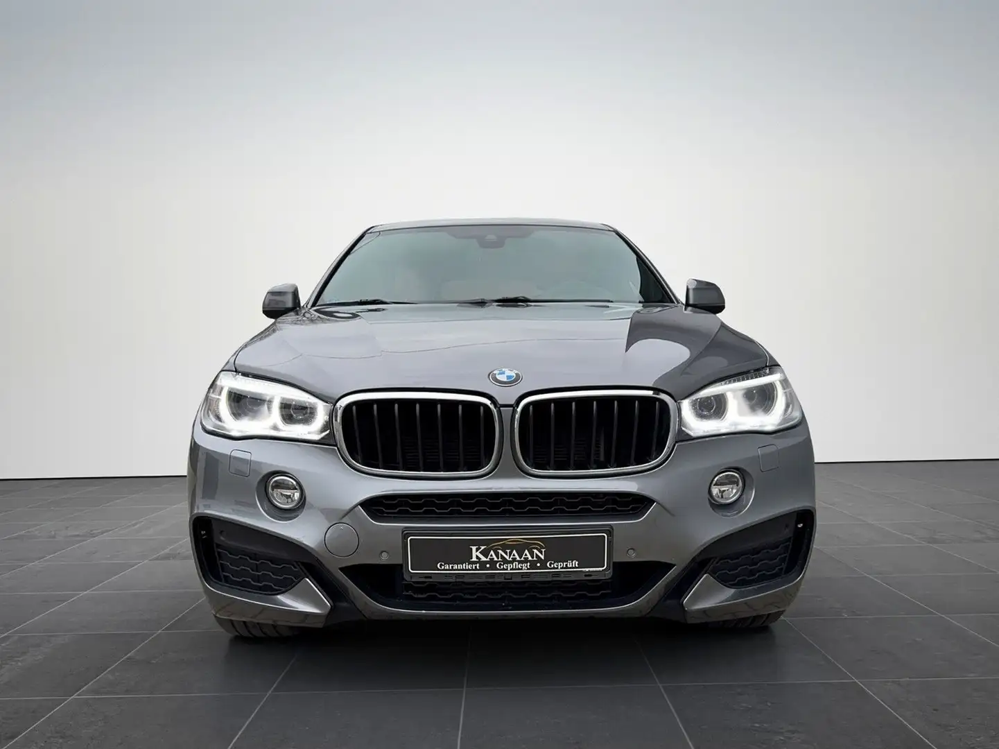 BMW X6 xDrive 30 d M-Sport*Standhzg.*Cognac Leder Grijs - 2