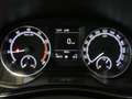 Skoda Fabia 1.0 TSI DRIVE 125 Best Of LED KAM NAV PANO ACC TEL Grau - thumbnail 23