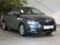 Skoda Fabia 1.0 TSI DRIVE 125 Best Of LED KAM NAV PANO ACC TEL Grau - thumbnail 3