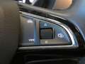 Skoda Fabia 1.0 TSI DRIVE 125 Best Of LED KAM NAV PANO ACC TEL Grau - thumbnail 29