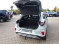 Ford Puma 125PS Autm. Titanium Navi AHK 360° iACC Grau - thumbnail 11