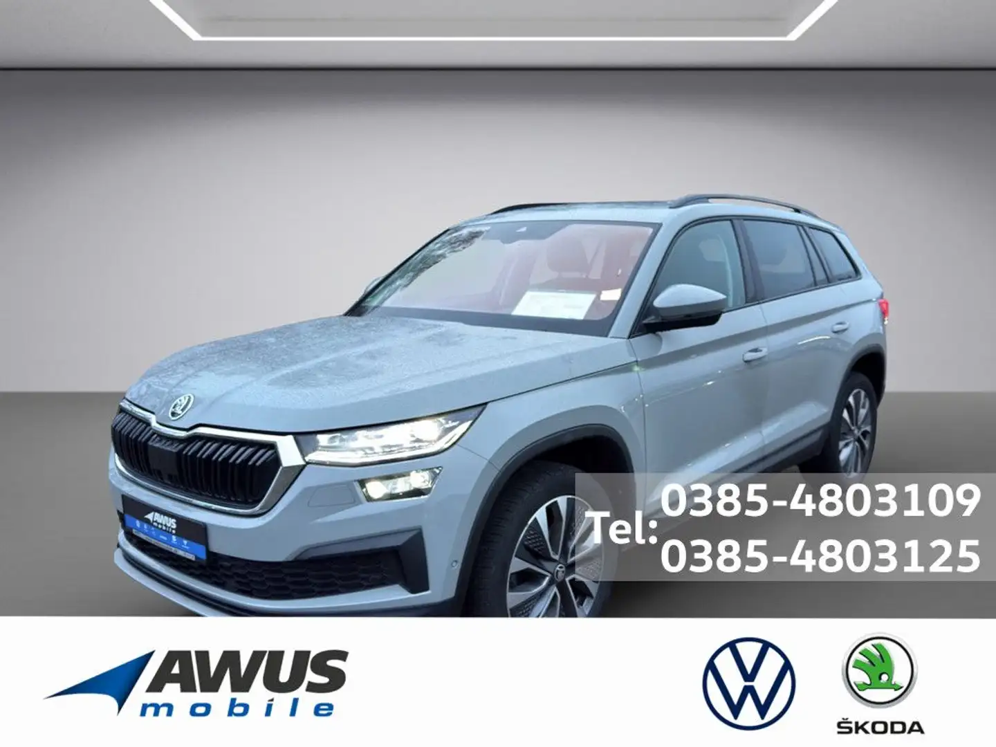 Skoda Kodiaq 1.5TSI DSG Tour AHK Grau - 1