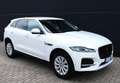 Jaguar F-Pace 2.0 D 163 CV AWD iva esposta ns aziendale Weiß - thumbnail 11