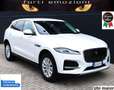 Jaguar F-Pace 2.0 D 163 CV AWD iva esposta ns aziendale Weiß - thumbnail 1