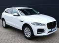 Jaguar F-Pace 2.0 D 163 CV AWD iva esposta ns aziendale Weiß - thumbnail 10
