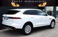 Jaguar F-Pace 2.0 D 163 CV AWD iva esposta ns aziendale Weiß - thumbnail 6