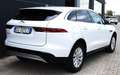 Jaguar F-Pace 2.0 D 163 CV AWD iva esposta ns aziendale Weiß - thumbnail 7