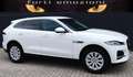 Jaguar F-Pace 2.0 D 163 CV AWD iva esposta ns aziendale Weiß - thumbnail 4
