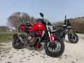 Ducati Monster 1200 Rosso - thumbnail 2