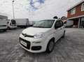 Fiat Panda 1.3 mjt 16v Easy s Bianco - thumbnail 3