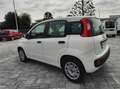 Fiat Panda 1.3 mjt 16v Easy s Bianco - thumbnail 13