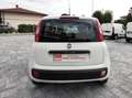 Fiat Panda 1.3 mjt 16v Easy s Bianco - thumbnail 12