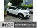 Opel Grandland X 1.6 Start/Stop Automatik Business INNOVATION Weiß - thumbnail 3