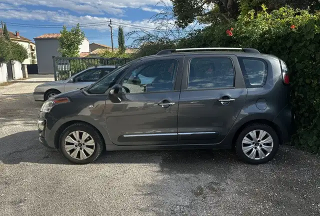 Citroen C3 Picasso view 2
