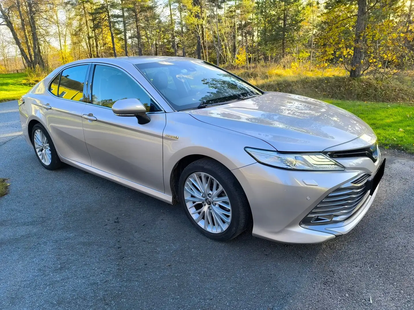 Toyota Camry Camry Executive Grigio - 1
