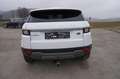 Land Rover Range Rover Evoque SE 2,0 eD4 e-Capability Weiß - thumbnail 5