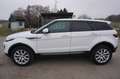 Land Rover Range Rover Evoque SE 2,0 eD4 e-Capability Weiß - thumbnail 7