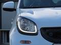smart forFour forfour electric drive / EQ 60kW Prime Weiß - thumbnail 21
