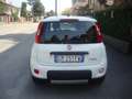Fiat Panda 1.0 firefly hybrid City Life Weiß - thumbnail 5