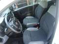 Fiat Panda 1.0 firefly hybrid City Life Weiß - thumbnail 7