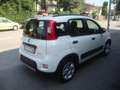 Fiat Panda 1.0 firefly hybrid City Life Weiß - thumbnail 4