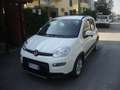 Fiat Panda 1.0 firefly hybrid City Life Weiß - thumbnail 2