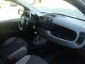 Fiat Panda 1.0 firefly hybrid City Life Weiß - thumbnail 9
