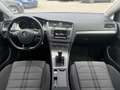 Volkswagen Golf R -Line 1,6 TDI Weiß - thumbnail 14
