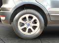 Ford EcoSport 1.0 EcoBoost 125 CV Start&Stop aut. Titanium Grau - thumbnail 22