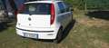 Fiat Punto 5p 1.2 Actual abs Blanc - thumbnail 3