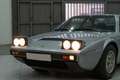 Ferrari 308 GT4 Grau - thumbnail 23