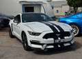 Ford Mustang Fastback 5.0 V8 TiVCT GT *SEDILI RECARO* Weiß - thumbnail 3