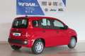 Fiat Panda Pandina Urban 1.0 Hybrid *CityPaket* Rot - thumbnail 2