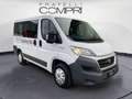 Fiat Ducato Ducato 30 2.3 MJT 150CV L1H1 Panorama 9 posti Bianco - thumbnail 2