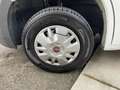 Fiat Ducato Ducato 30 2.3 MJT 150CV L1H1 Panorama 9 posti Bianco - thumbnail 5