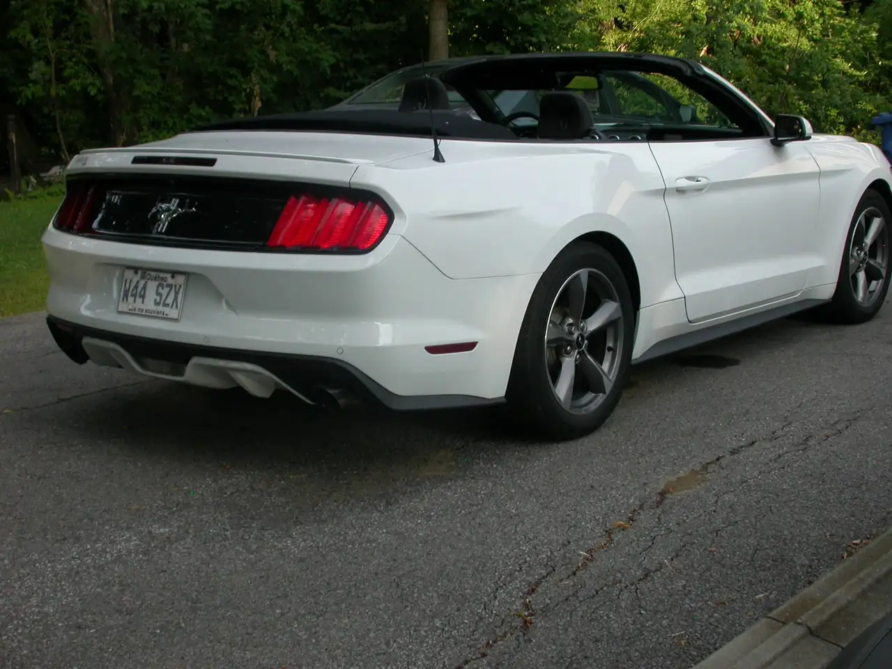 Ford Mustang снимка Ford Mustang