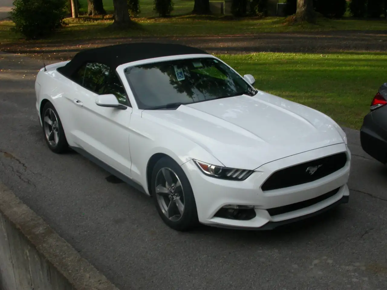 Ford Mustang снимка Ford Mustang