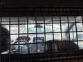 Peugeot Partner Partner Allrad DANGEL BlueHDi 130 S&S Euro 6d e... Grau - thumbnail 12