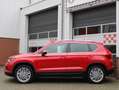 SEAT Ateca 1.5 TSI 150PK Automaat Xcellence Business Intense Rood - thumbnail 49