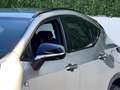 Lexus NX 300h 450h+ F Sport 4WD Gris - thumbnail 27
