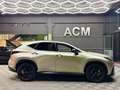 Lexus NX 300h 450h+ F Sport 4WD Gris - thumbnail 5
