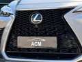 Lexus NX 300h 450h+ F Sport 4WD Gris - thumbnail 24
